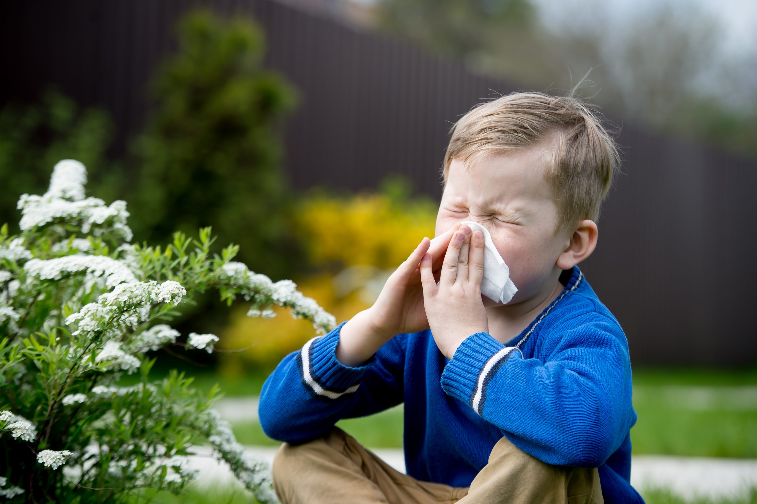 INTERVIU Alergolog Adriana Nicolae: „Până la 3 ani, majoritatea alergiilor dispar” Ce au de făcut părinții