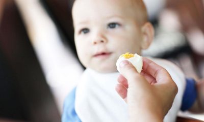 Iată ce trebuie să știi despre consumul de ouă în cazul copilului și în cazul adultului