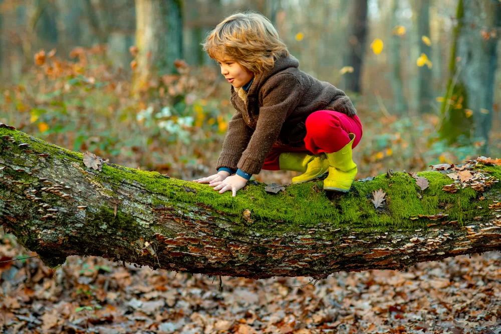 „Copiii au nevoie de joacă!” Apelul unui psiholog la creșterea anxietății în rândul copiilor